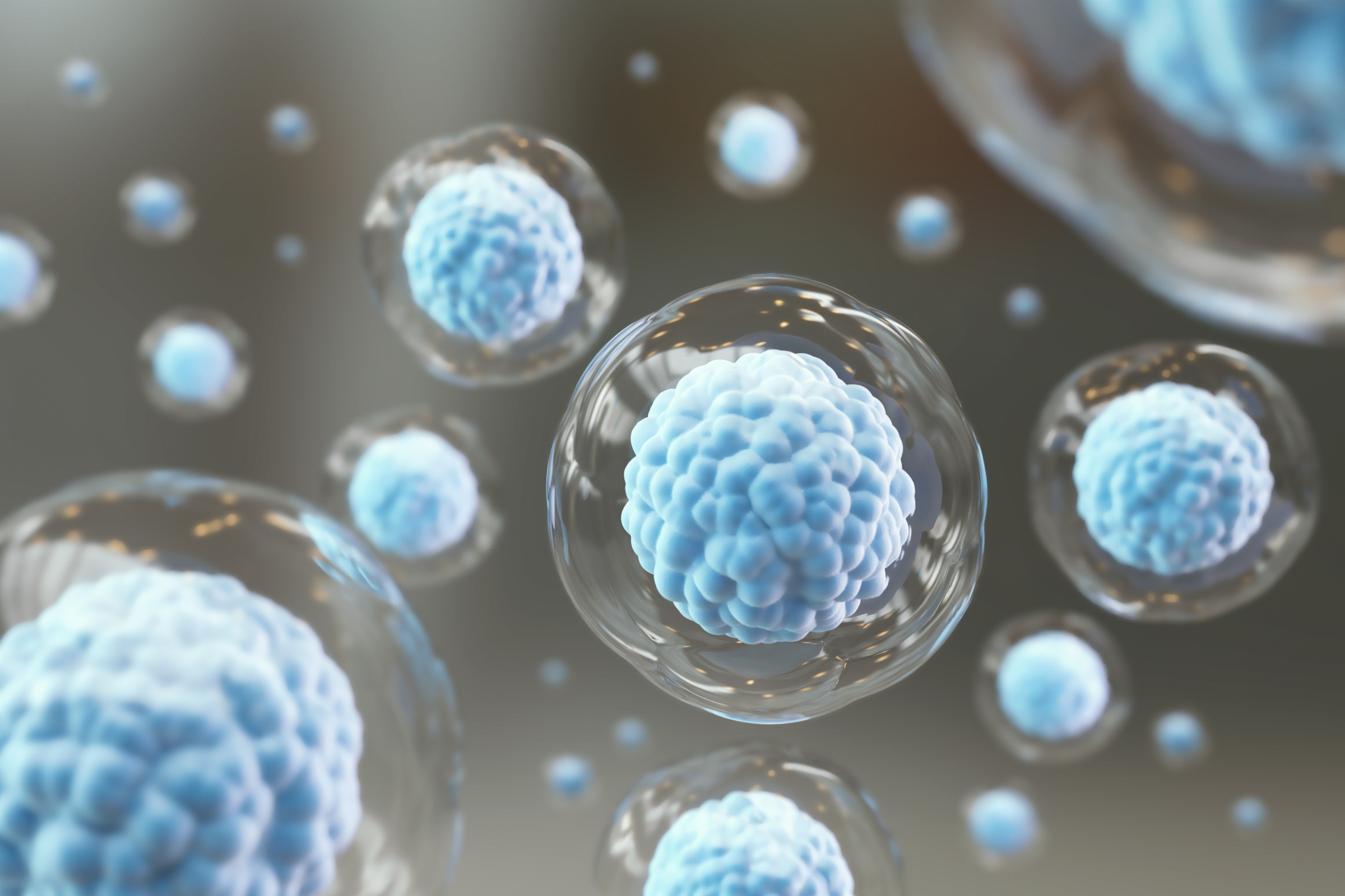 Cellular Therapy and Regeneration, microscope of cell.